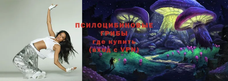 Галлюциногенные грибы Cubensis  Шагонар 