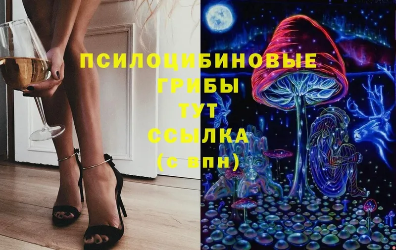 Псилоцибиновые грибы Magic Shrooms Шагонар